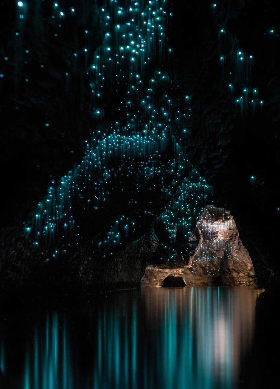 درخشش کرم های شب تاب در غار‌های نیوزلند