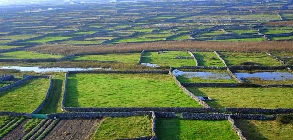 دیوار‌های سنگی ایرلند