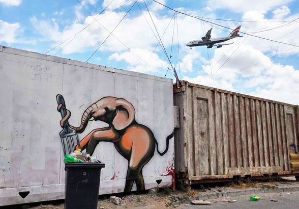 هنر خیابانی نقاشی فیل