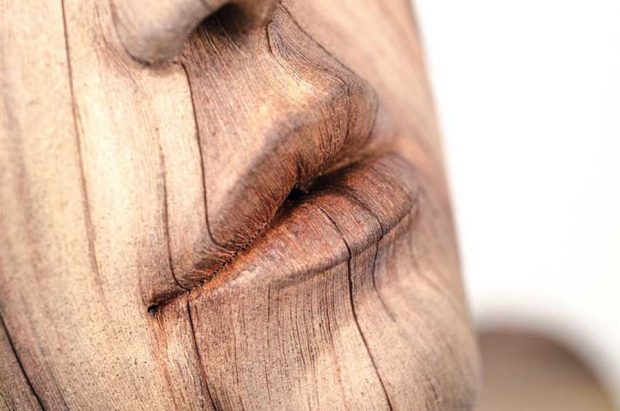 تصاویر محسور کننده از مجسمه‌های سرامیکی در نمای چوب