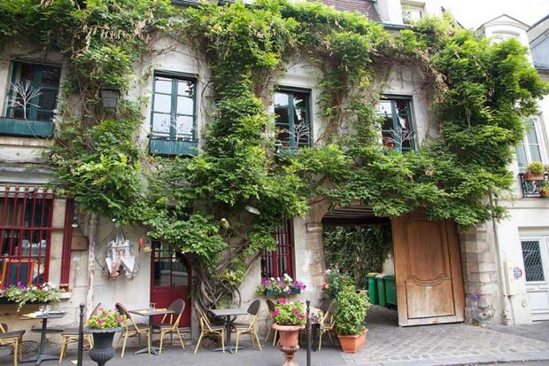 تصاویری از باغچه های شهری در پاریس