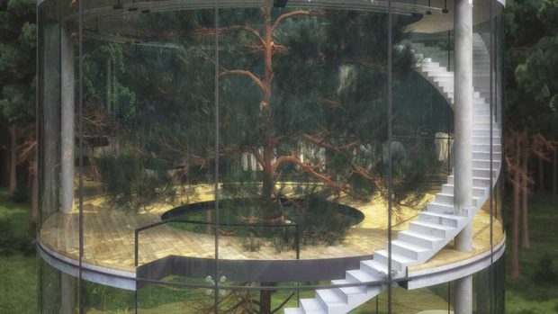 هارمونی با طبیعت ، درخت در خانه شیشه ای