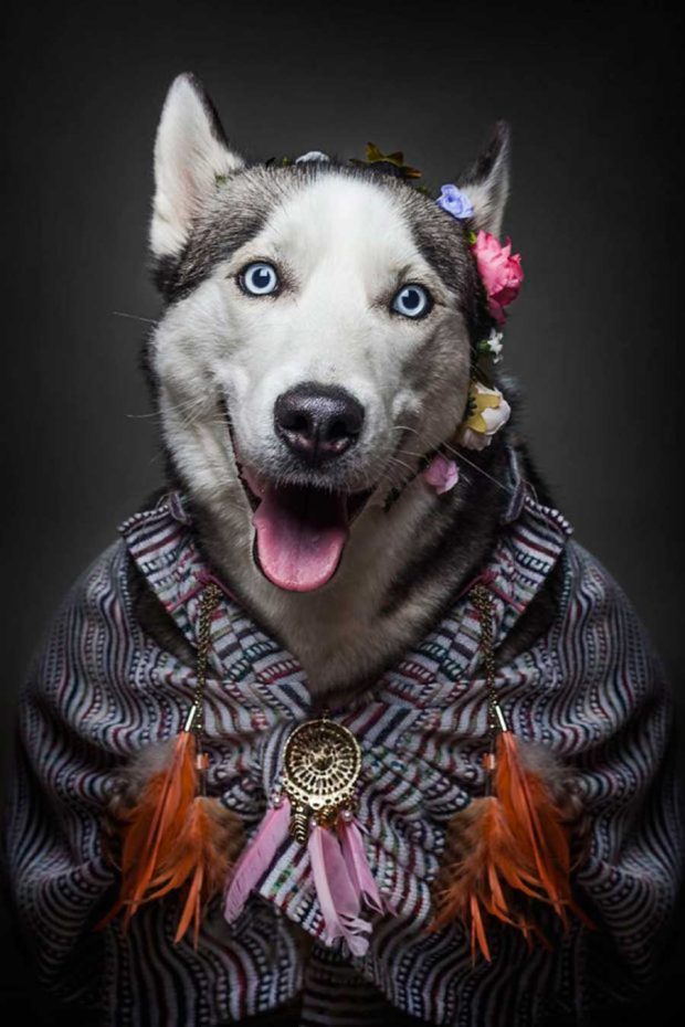 تصاویر خلاقانه از پرتره سگ ها با پوشش انسان ها