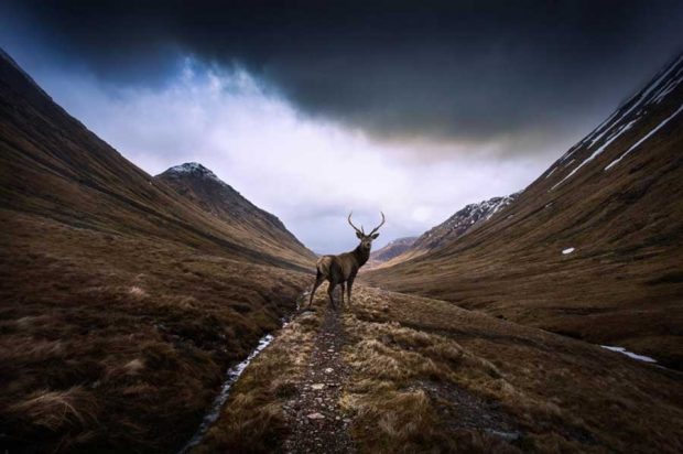نگاهی کوتاه به زیبایی های بی نظیر کشور اسکاتلند در بریتانیای کبیر