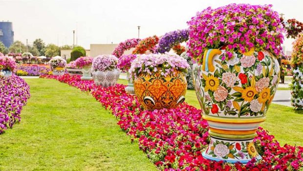 تصاویری شگفت انگیز از باغ گل در دل بیابان های دبی