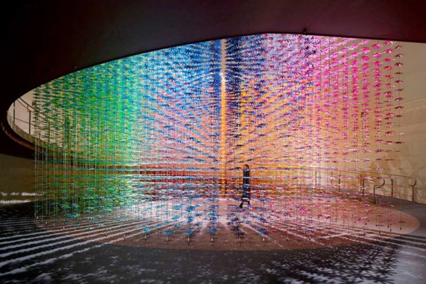 تماشای 25 هزار گل کاغذی رنگارنگ در یک اتاق کاملا هنری