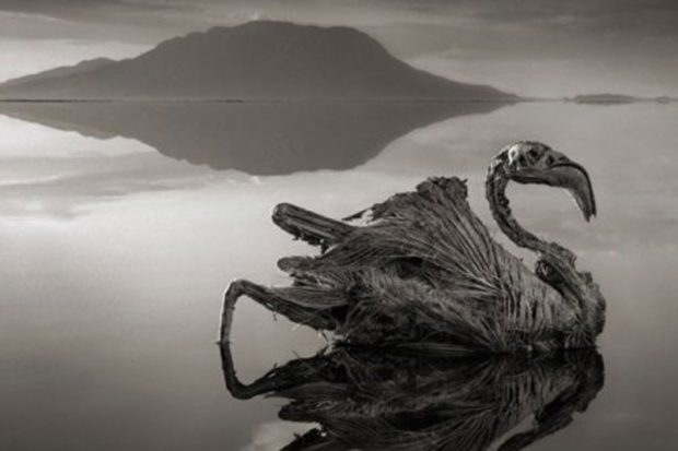 دریاچه مرموز ناترون در تانزانیا