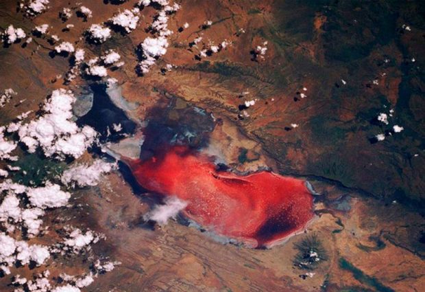 دریاچه مرموز ناترون در تانزانیا