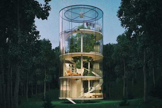 هارمونی با طبیعت ، درخت در خانه شیشه ای