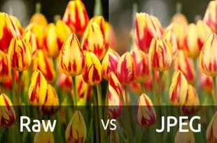 تفاوت های JPEG و RAW